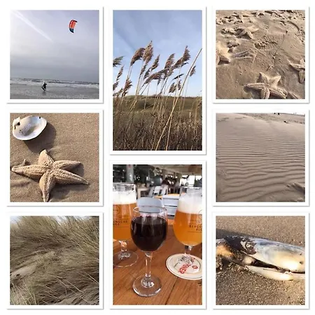 Meerpaal 43 Апартаменты Берген