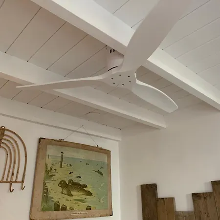 Апартаменты Meerpaal 43 *