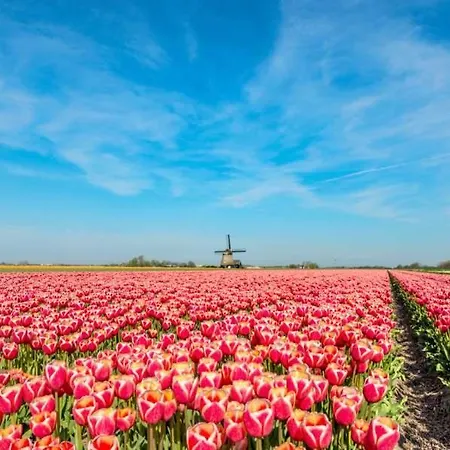 Meerpaal 43 Апартаменты