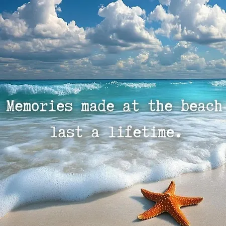 Апартаменты Meerpaal 43 *