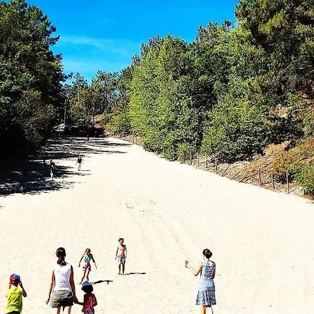 Meerpaal 43 * Берген