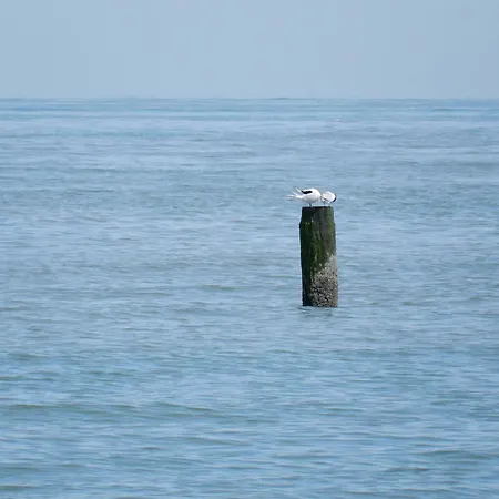 Meerpaal 43